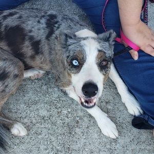 Meet your Posher, Jamie